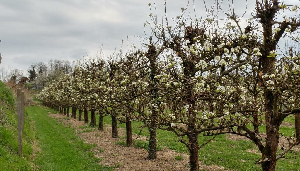 ASSOCIATE SPOTLIGHT: DIRK LEONHARDT - Milacron