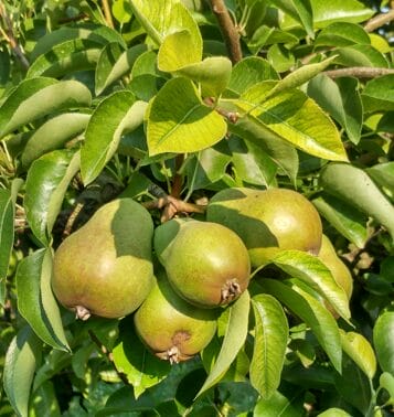 ASSOCIATE SPOTLIGHT: DIRK LEONHARDT - Milacron